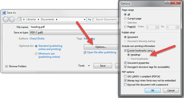 Save As dialogue box in Word showing the PDF options dialogue